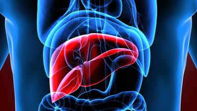 Novo Nordisk Eyes New Arena Amid Weight-Loss Market Pressure