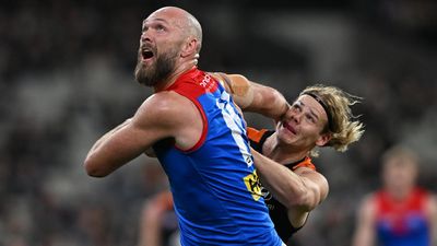 Star Demon earns eighth All-Australian, Cameron captain