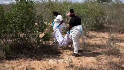 Police link new bodies exhumed from Kenyan mass graves to starvation cult