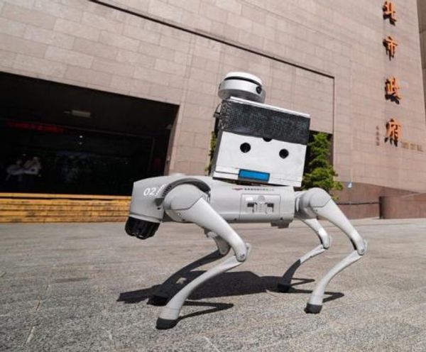 Taipei City council in the dog house over Chinese-made patrol robot