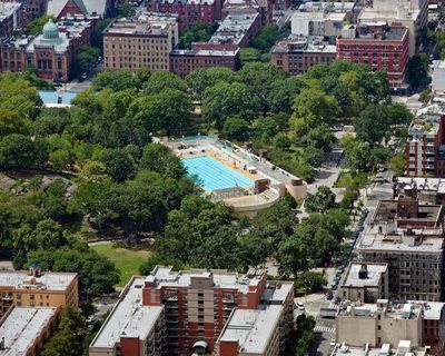 ‘The tree is trying its best’: why New Yorkers are counting – and rating – every park tree