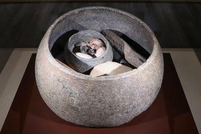Unearthed stone animals uncover secrets of prehistoric life