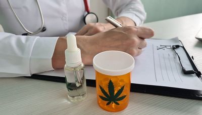 What's Going On With Tilray Stock Today?