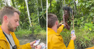 “They’re Not Cannibals:” TikTok Stunt With Indigenous Papuan Tribe Ignites Backlash