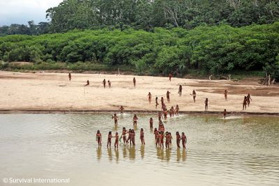 Uncontacted Amazon tribe enters another village: ‘They are in danger’