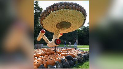 Where no gourd has gone before | Space photo of the day for Aug. 28, 2025