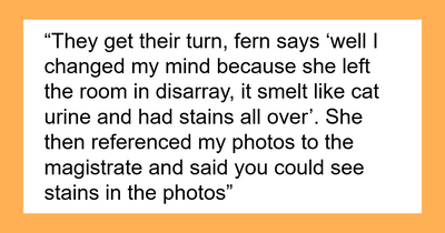 Judge Sides With Woman After Roommates Make Up Cat Damage To Pocket Her Deposit