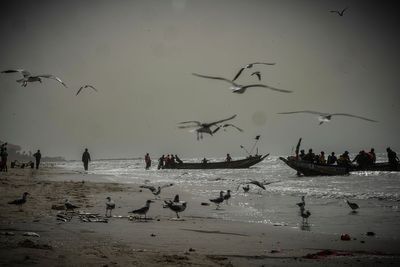 Photos of a Gambian village where a 'sea war' is brewing