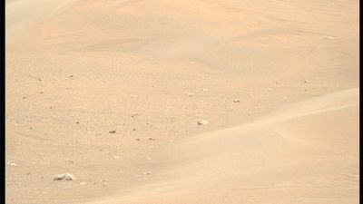 Perseverance Mars rover stumbles upon wind-carved 'megaripples' on the Red Planet
