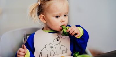 New research finds many infant food products make claims that don’t match the main ingredients