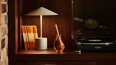 I brought home a diffuser to transport me to summery destinations – but I didn’t expect it to double as a design objet
