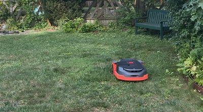 This AI Robot Mower Completely Transformed Our One-Acre Yard