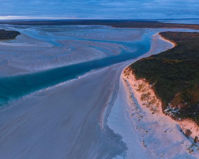 Labor greenlights contentious Robbins Island windfarm despite fears for endangered orange-bellied parrot