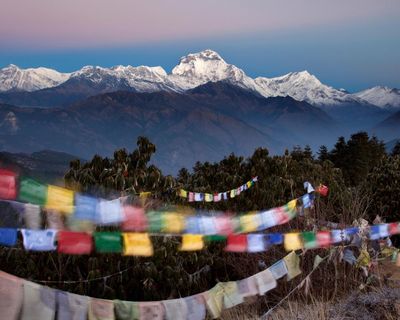 Transcendence for Beginners by Clare Carlisle review – a philosopher’s guide to enlightenment