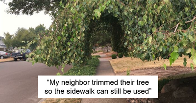 50 Times People Realized They Truly Hit The Neighbor Jackpot (New Pics)