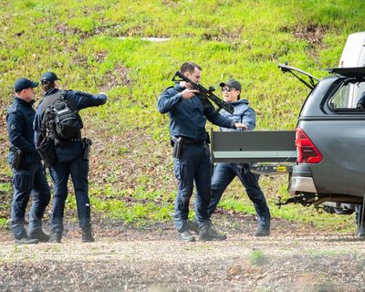 Afternoon Update: hundreds of police join Porepunkah manhunt; PM criticises Katter’s outburst; and inside the world of pigeon racing