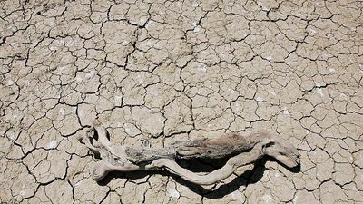 How flash droughts driven by climate change sparked record wildfires in Spain