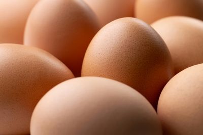 Lay Off Our Eggs Market, French Producers Tell Ukraine