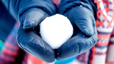 Dave Ramsey Wants You To Throw Snowballs at Your Debt (and More Advice From Our Experts)