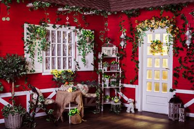 6 Climbing Plants That Are Quietly Damaging Your Siding