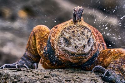 These images say what words alone can't – Ocean Photographer of the Year finalists will stop you in your tracks