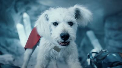 Superman's Krypto Actor Reveals The 'One Question' She Keeps Getting (And It Involves Touching David Corenswet)