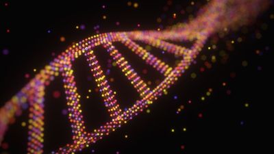 'Aging clocks' tell you how much 'older' you are than your chronological age. How do they work?