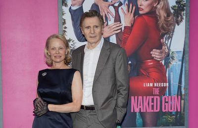 Pamela Anderson and Liam Neeson 'have a great time'