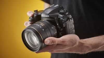 Nearly 10 years in, the Nikon D500 is THE budget DSLR for sports and wildlife photography