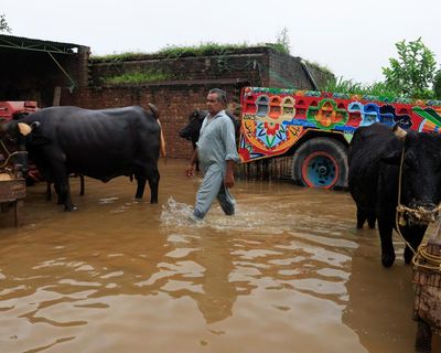 ‘The water left nothing’: Pakistan’s Punjab province reels from deadly floods