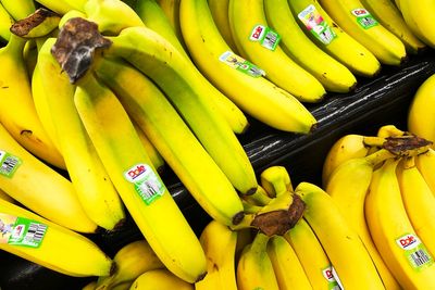 Could bananas be the key to fighting heart disease?