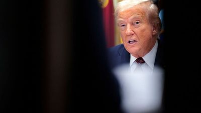 Trump urged to ‘pull out the Sharpie’ and create federal medical marijuana office to tackle opioid crisis