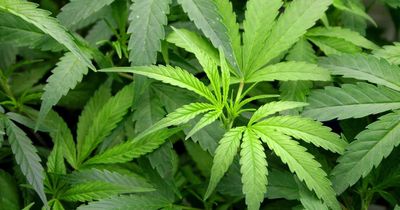 Police find more than £500,000 worth of drugs as two men charged