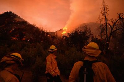 Vineyards assess damage as wildfire rips through California wine country: ‘A devastating situation’