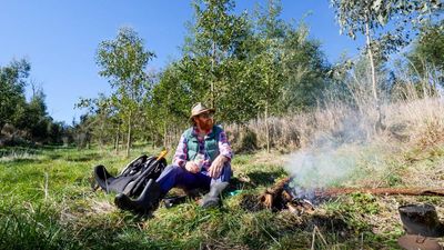 A tree a minute for 24 hours: the young Victorian forest that was planted in a day