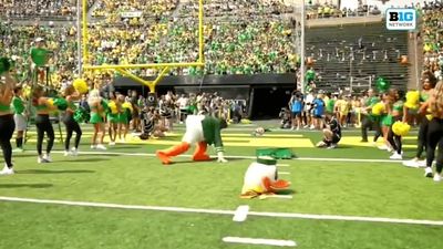 Oregon Duck Mascot Suffered Unfortunate Mishap Running Out for First Game of Season