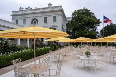 Trump lashes out at Rose Garden worker for damaging stone in controversial redesign - and shares video of the culprit: ‘Stupid’