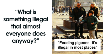 30 Crimes So Common They Barely Feel Illegal Anymore