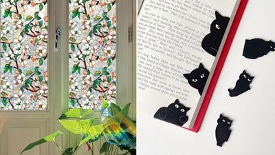 60 Weird-Ass Things for Women That Are Actually Life-Changing