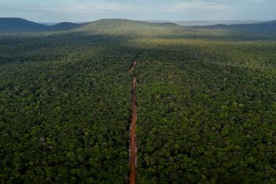 In Guyana, Remote Dirt Road Seen As Future Economic Lifeline