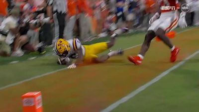 Fans Rip Officials Overturning Near Touchdown Pass for LSU vs. Clemson