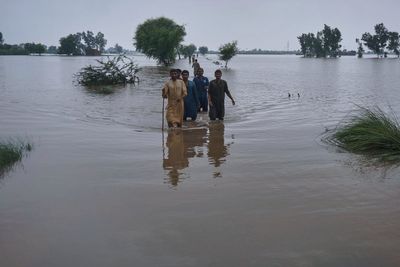 ‘Biggest flood in Punjab’s history’ affects over 2 million people in Pakistan