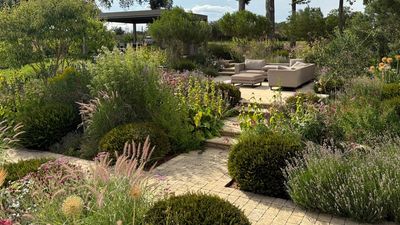 The AI garden design trend – what do professionals think a garden designer offers that AI never could?