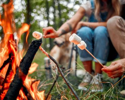 ‘I watched the children uncurl’: people share stories of affordable UK camping holidays