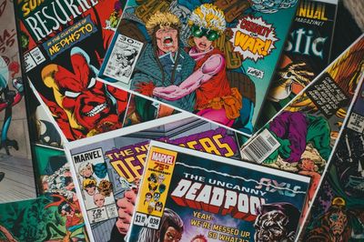 Top 3 Comic Book Bin Partitions