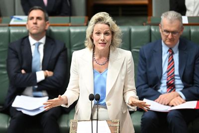 PM says neo-Nazi giving speech from Victoria’s parliament steps ‘isn’t the Australian way’ – as it happened