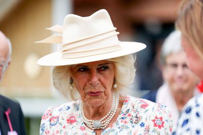 Queen Camilla ‘fought off sexual assault’ by stranger on a train as a teenager, new book claims
