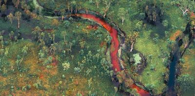 ‘Those paintings belong to us’: how an Indigenous-led project is harnessing technology to protect Kakadu’s rock art