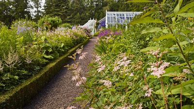 Take cuttings of these flowers in September before it's too late – 7 pretty plants to propagate now before fall arrives