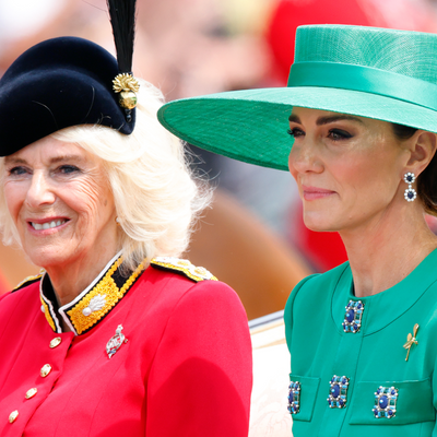 Royal Biographer Reveals How One Unexpected Royal "Bridges the Gap" Between Princess Kate and Queen Camilla